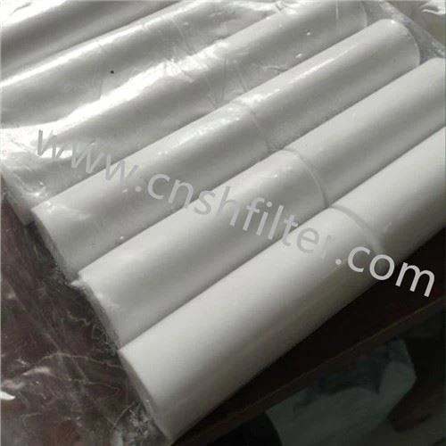 Element de filtrare a probei de apă 5100B006-1